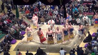 Hatsu 2024 Day 12 Makuuchi dohyo iri [upl. by Mailliwnhoj]