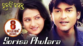 SORISA PHULARA HALADIA KHETA  Romantic Song by Namita Agrawal  Sidharth TV [upl. by Argyle]