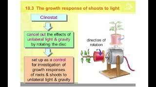 5090 CHAPTER 15 SYLLABUS 2023 COORDINATION IN PLANTS [upl. by Dorcia]