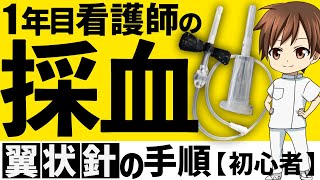 翼状針採血の手順を新人看護師向けに解説【採血上達のコツ】 [upl. by Eimot]