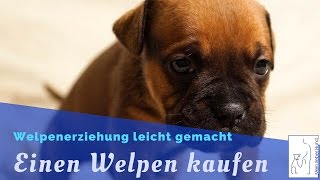 Welpen kaufen  Welpenerziehung  Mein lieber Hund [upl. by Ynnig]