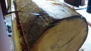 Blade Problems on WoodMizer LT50 Sawmill [upl. by Barry]