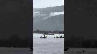 Tanguar Haor in monsoon 🌧️ [upl. by Cullan]