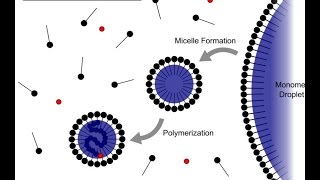 Emulsion Polymerization [upl. by Anivlem784]