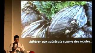 Conférence Biomimétisme  Partie III  Inspiré par le procédé [upl. by Telrats]