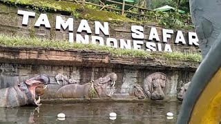 Pertama kali mengunjungi Taman Safari waktu liburan sekolah yang lalu menyenangkan sekali 😁 [upl. by Katsuyama]