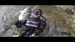 Spearfishing  Shallowest white sea bream catch ever [upl. by Ameyn160]