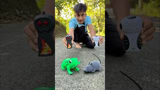 Remote control mouse 🐁 vs frog testing 🐸 [upl. by Atnuhs]