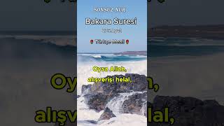 Bakara Suresi 275Ayet Türkçe Meali [upl. by Garratt177]