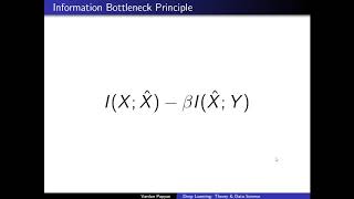 1 Deep Learning Theory and Data Science  Information Bottleneck [upl. by Meekah177]