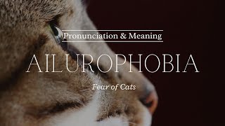 How to Pronounce Ailurophobia  British Pronunciation amp Meaning [upl. by Couhp]