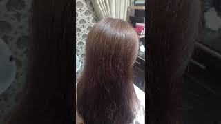 Brown hair transformation with gray hair coveragefashion hair dye without cutdownbrown hair dye [upl. by Ntsyrk249]