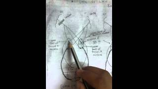 Facial nerve palsy UMN vs LMN simplified [upl. by Haven825]