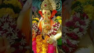 Jay ganesh 🙏 viral trending subscribe shortviral shortvideo 1tranding ganesh [upl. by Highams]