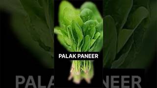 Palak Paneer Recipe  Easy and Healthy Indian Dish [upl. by Fanchet985]