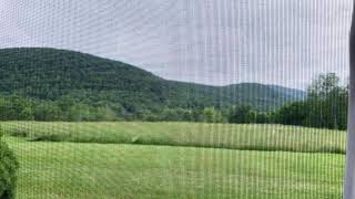 Nature View Bovina New York [upl. by Ludly743]