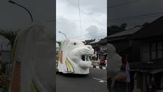 FESTIVAL TOMOHON 2022Tomohon Internasional flowers [upl. by Kinson]