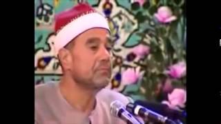 Shaykh Raghib Mustafa Ghalwash  best clip [upl. by Nurav106]