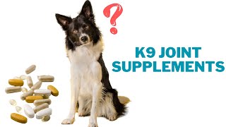 Joint Supplements for Dogs [upl. by Irbua]