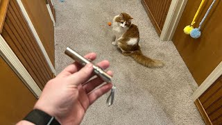 All to Know About Waputne Cat Toy Laser Pointer [upl. by Roxana]