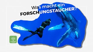 Tauchen für die Wissenschaft in Zeiten des Klimawandels [upl. by Gal]