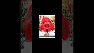 the big red dog full movie Explain in hindi urdu। reddog movie shorts [upl. by Aicnatsnoc]