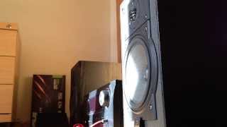 Bass I Love You on Celestion 5 speakers [upl. by Navlys345]