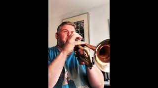 trumpet trumpetersstuff trumpeter music trumpetlovers trumpetlife shrekthemusical practice [upl. by Idelle]