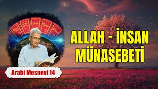 Allah ve insan münasebeti  Mesnevi Dersleri 14 [upl. by Balfore]