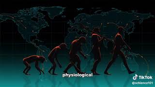 Evolution of Seasonal Migration in Animals [upl. by Battiste]