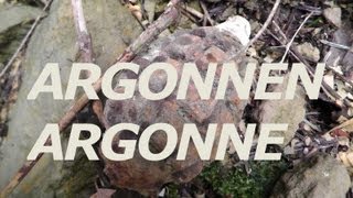 ☮ Argonnen bei Varennes Kampfgebiet 1 WK Gewehrfund quotLebelquot  Argonne WW1  Rifle discovery [upl. by Quintie]