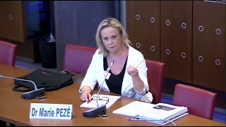 Dr Marie Pezé  Observations sur le burn out [upl. by Jerrilyn567]