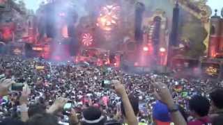 Avicii  Live  Tomorrowland 2014 [upl. by Attebasile]