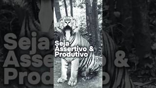 Seja Assertivo e Produtivo com a Sabedoria do Tigre 🐅✨ [upl. by Sears]