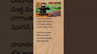 Vishwanathastakam telugu lyrics  lordshiva devotionalsongs vishwanathashtakam telugulyrics [upl. by Ryun329]