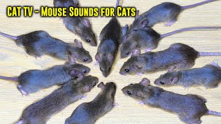 CAT TV  Videos for Cats to Watch Mouse Sounds for Cats  Cat Game [upl. by Lona]