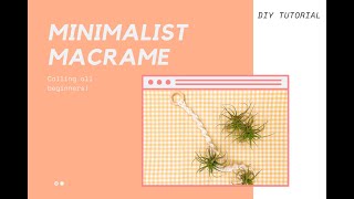 DIY Macrame Air Plant Hanger [upl. by Toland261]