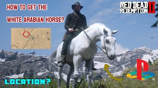 Getting My Arabian White Horse From The Snow in Red Dead Redemption 2Horse Location RDR2rdr2 ps5 [upl. by Ahseel]