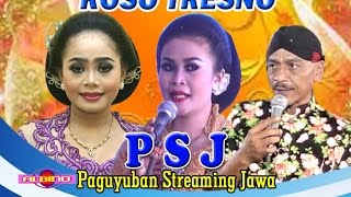 streaming oleh ALBINO COKEK  Karawitan ROSO TRESNO Live JURANGJERO KIDULKR MALANGSRAGEN [upl. by Alleunamme875]