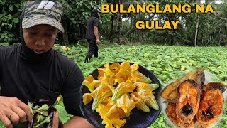 Bulaklak ng kalabasa na may pritong bangus bulanglang na gulay [upl. by Corny]