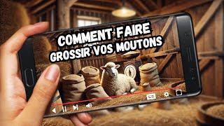 Recette Naturelle Pour Faire Grossir Vos Moutons 🐑🍃 [upl. by Airpal931]