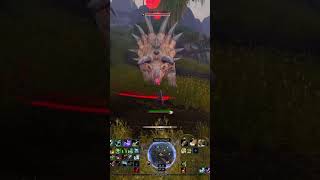 Where to find and tame Juba the scarred foryou hunterpet pet hunter wow gaming warcraft [upl. by Legir479]