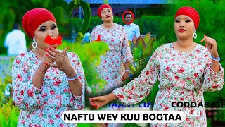 FAHMO ILEYS DHAANTO CUSUB NAFTU WEYKUU BOGTAA NEW VIDEO DHANTO 2023 [upl. by Lana]