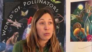 Bee Friendly The Importance of Pollinators [upl. by Eerihs]