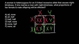 How Xlinked recessive genetics disorders are inherited [upl. by Akemal]