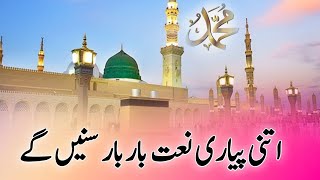 Heart touching beautiful naat  new naat shareef  ronaq e zindagi aap hain [upl. by Ayrotal645]