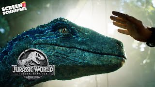 Wiedersehen mit Blue  Jurassic World  Fallen Kingdom  Screen Schnipsel [upl. by Nythsa]