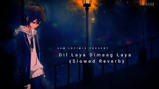 Dil Laya Dimaag Laya 🥀 Slowed Reverb  LofiMix 4am [upl. by Yarahs]