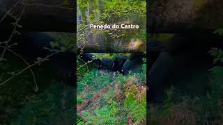 Ponteareas Pontevedra 🐶🐶🪨💚💚dog nature hiking galicia senderismo travel bordercollie [upl. by Slinkman688]