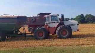 Its WHEAT time in ALABAMA with the 2388 International and the 4890 JI Case [upl. by Sharai]